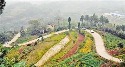 用愛心托起明天的太陽——九九智能環(huán)?！皭坌闹鷮W(xué)活動“走進(jìn)新化縣楓木小學(xué)