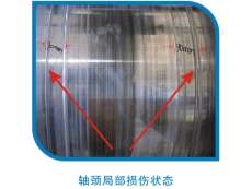 軸頸局部損傷狀態(tài)